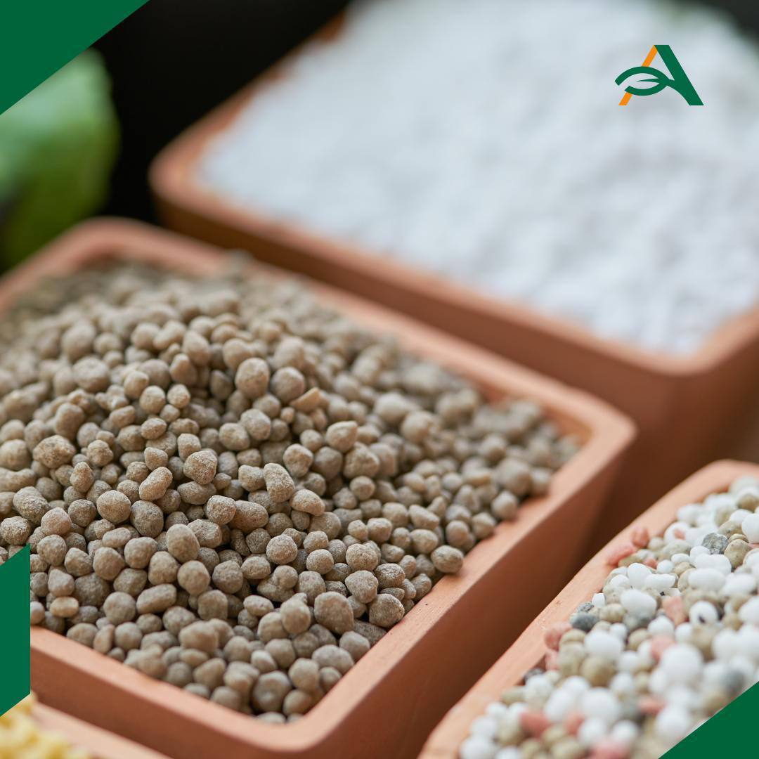 Выпуск удобрений в РФ за 11 месяцев вырос на 6 1 до 27 9 млн тонн Такие данные сообщил Росстат в годовом сравнении и в пересчете на 100 питательных веществ В ноябре показатель составил 2 5 млн тонн на 3 больше чем за аналогичный период прошлого года и соответствует уровню октября текущего года Выпуск аммиака в январе ноябре вырос на 4 1 до 17 1 млн тонн в ноябре снизился на 0 8 в годовом сравнении и на 6 3 по сравнению с октябрем Производство технической серы в январе ноябре сократилось на 20 6 до 3 985 млн тонн Однако в ноябре в годовом сравнении замедлило темпы снижения до 36 2 после падения на 59 в октябре и выросло в 1 6 раза к предыдущему месяцу до 318 тыс тонн Напомним что в ноябре 2025 года правительство РФ ввело временный запрет на вывоз технической серы которая является критически важным сырьем для выпуска минудобрений agroexpert Наши каналы