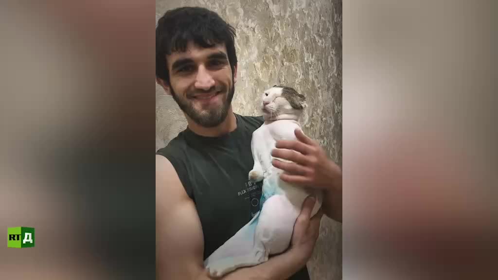 Ветеран СВО открыл приют для бездомных животных в Махачкале