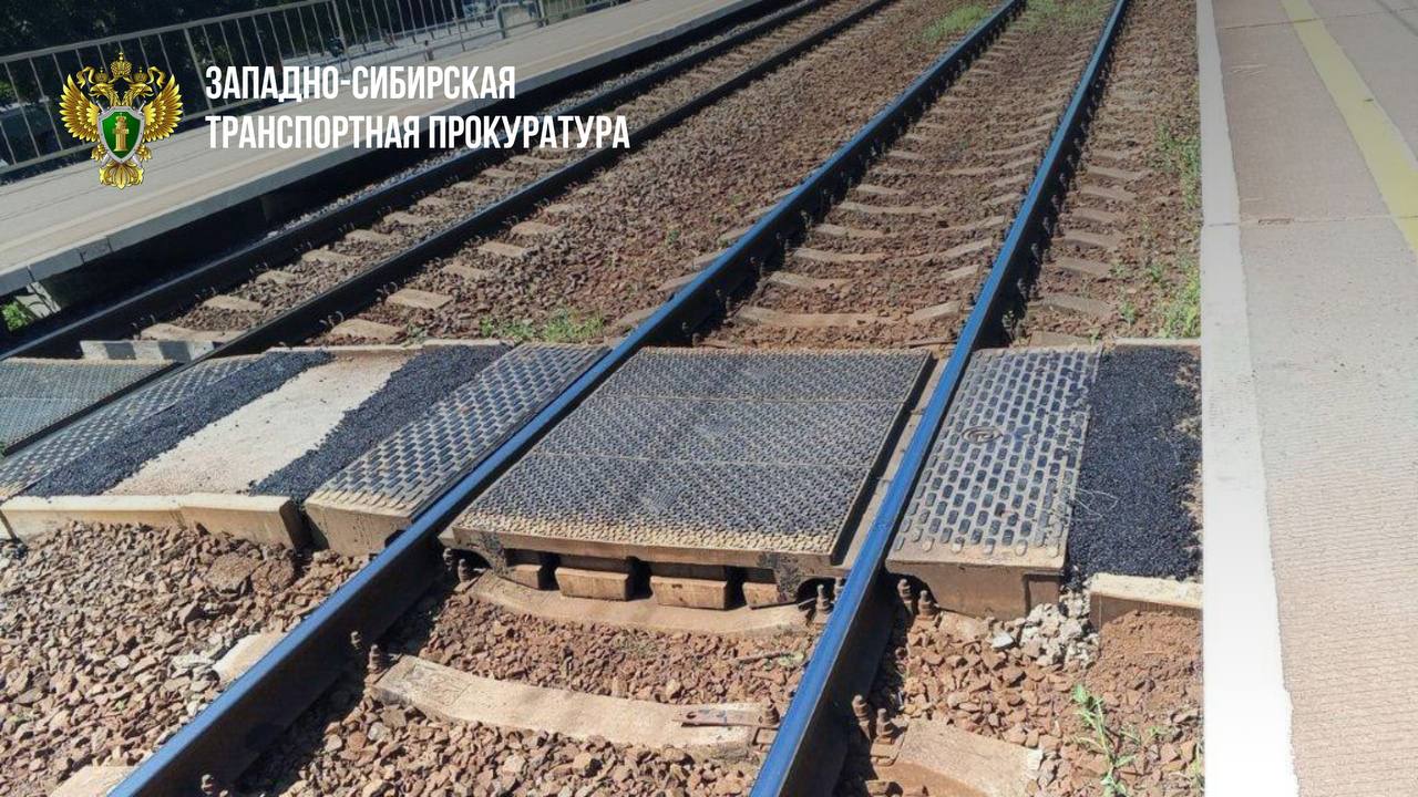 Транспортная прокуратура В Новосибирской области транспортная прокуратура проинспектировала объекты железнодорожной инфраструктуры расположенные вблизи образовательных учреждений и других социальных объектов Новосибирская транспортная прокуратура проверила исполнение законодательства о безопасности движения и эксплуатации железнодорожного транспорта в Ленинском и Первомайском районах города Новосибирска Установлено что пассажирские платформы Звездная Жилмассив Юность Нижняя Ельцовка Сибирская Матвеевка Западно Сибирской железной дороги расположенных вблизи образовательных учреждений и других социальных объектов не отвечали требованиям закона На указанных объектах транспортной инфраструктуры отсутствовали или находились в ненадлежащем состоянии предупреждающие знаки и аншлаги о безопасности нахождения в зонах повышенной опасности правилах поведения пассажиров и посетителей на объектах железнодорожного транспорта мерах безопасности Пешеходный настил на остановочном пункте Нижняя Ельцовка имел дефекты резинокордового покрытия также вблизи остановочной платформы имелись несанкционированные переходы через железнодорожные пути Транспортной прокуратурой начальникам региональных дирекций ОАО РЖД внесены представления об устранении нарушений закона по результатам рассмотрения которых знаки и аншлаги безопасности восстановлены произведен ремонт пешеходных коммуникаций ликвидированы переходы в неустановленных местах epp genproc gov ru web zstp