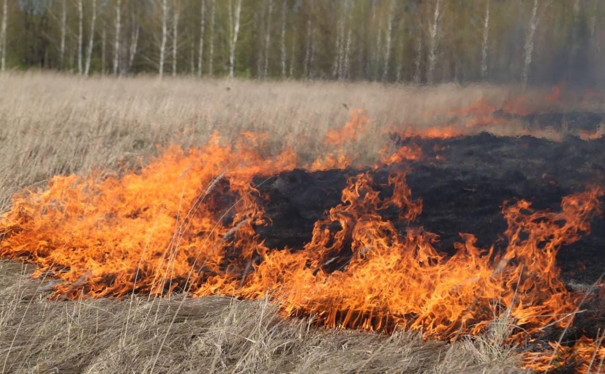 В Тульской области ожидается высокая степень пожароопасности
