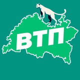 Аватар Телеграм канала: ВТП | В Татарстане Поймут