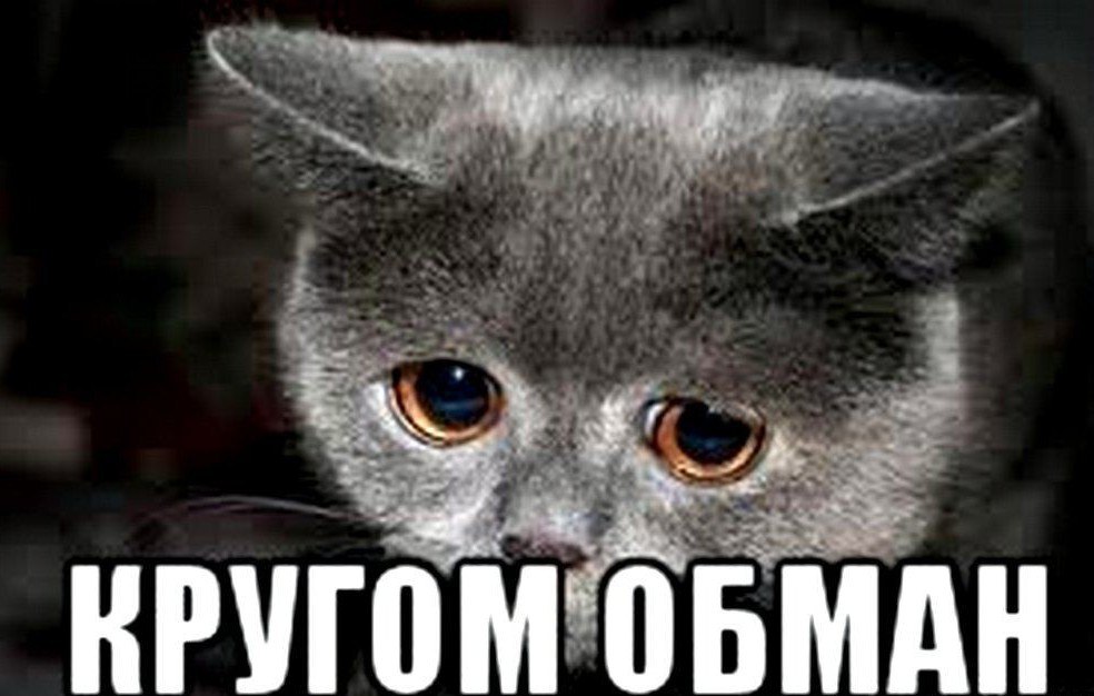  В Воронеже школьник оформил кредитку на имя матери и перевёл деньги аферистам 13-летнему мальчику позвонили якобы из школьного медкабинета под предлогом продления полиса. Когда подросток продиктовал данные, ему перезвонили и сообщили о подозрительной активности в личном кабинете Госуслуг. Мальчика убедили, что его родители могут попасть под дело. Чтобы их «спасти», школьник оформил на имя мамы кредитку и перечислил аферистам 80 тыс. рублей. Просчитался, но где? Большой воронежский. Подписаться