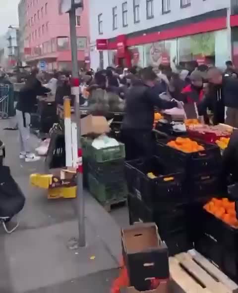 В Вене более половины первоклассников не владеют немецким языком