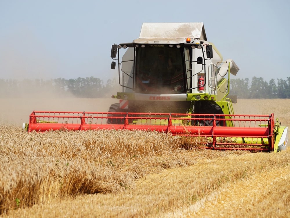 Более 15 миллиардов рублей поддержки выделили кубанскому АПК В 2025 году общий объем поддержки агропромышленного комплекса Кубани составил 15 8 миллиарда рублей включая субсидии и льготные кредиты для хозяйств пострадавших от засухи Об этом сообщает пресс служба администрации Краснодарского края В 2025 году совокупный объем поддержки агропромышленного комплекса края составил 15 млрд 800 млн рублей Из них 388 млн получили хозяйства пострадавших от засухи районов в виде субсидий на производство и реализацию зерна Еще одним подспорьем для таких аграриев стало предоставление дополнительных лимитов по льготным кредитам на сумму 223 млн рублей сказал губернатор края Вениамин Кондратьев Южная служба новостей