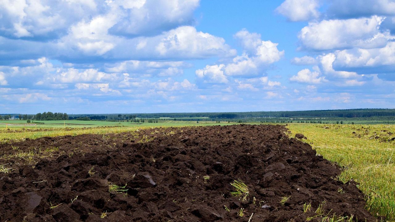 В Челябинске создали программу для поиска брошенных земель из космоса  В Челябинской области разработали программу для агромониторинга земель. «УралГИС Агро», так называется геоинформационная система, содержит данные 22 сельскохозяйственных районов нашей области.    Разработка помогает определять земли сельскохозяйственного назначения, рассказала директор научно образовательного центра «Геоинформационные системы» ЮУрГУ Валентина Максимова.  "Позволяет выявить неучтенные сельскохозяйственные земли и необрабатываемые. То есть те земли, которые являются источником пожароопасности, которые можно передать в муниципалитеты для оформления и сдачи в аренду. 1 января 2025 года вступил закон по передаче невостребованых земель без суда в муниципалитет. Такая система как "УралГИС Агро" позволяет дистанционно видеть, какие земли заброшены и не имеют хозяев", – комментирует Валентина Максимова.    Вести Южный Урал   Челябинск