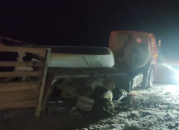 Большегруз с коровами провалился в реку в Якутии В Ленском районе спасатели помогли в затруднительной ситуации при транспортировке скота Читать подробнее на сайте
