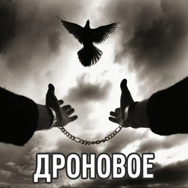 В России испытали голубей дронов с чипами В России создана уникальная стая голубей дронов которые успешно прошли проверку своих летных способностей Каждой птице вживляется имплант позволяющий загружать задания для выполнения полётов Чипы стимулируют мозг голубя побуждая его двигаться в заданном направлении Эти био дроны предназначены для мониторинга линий электропередачи и газовых узлов выявляя возможные неисправности TechGPTNews