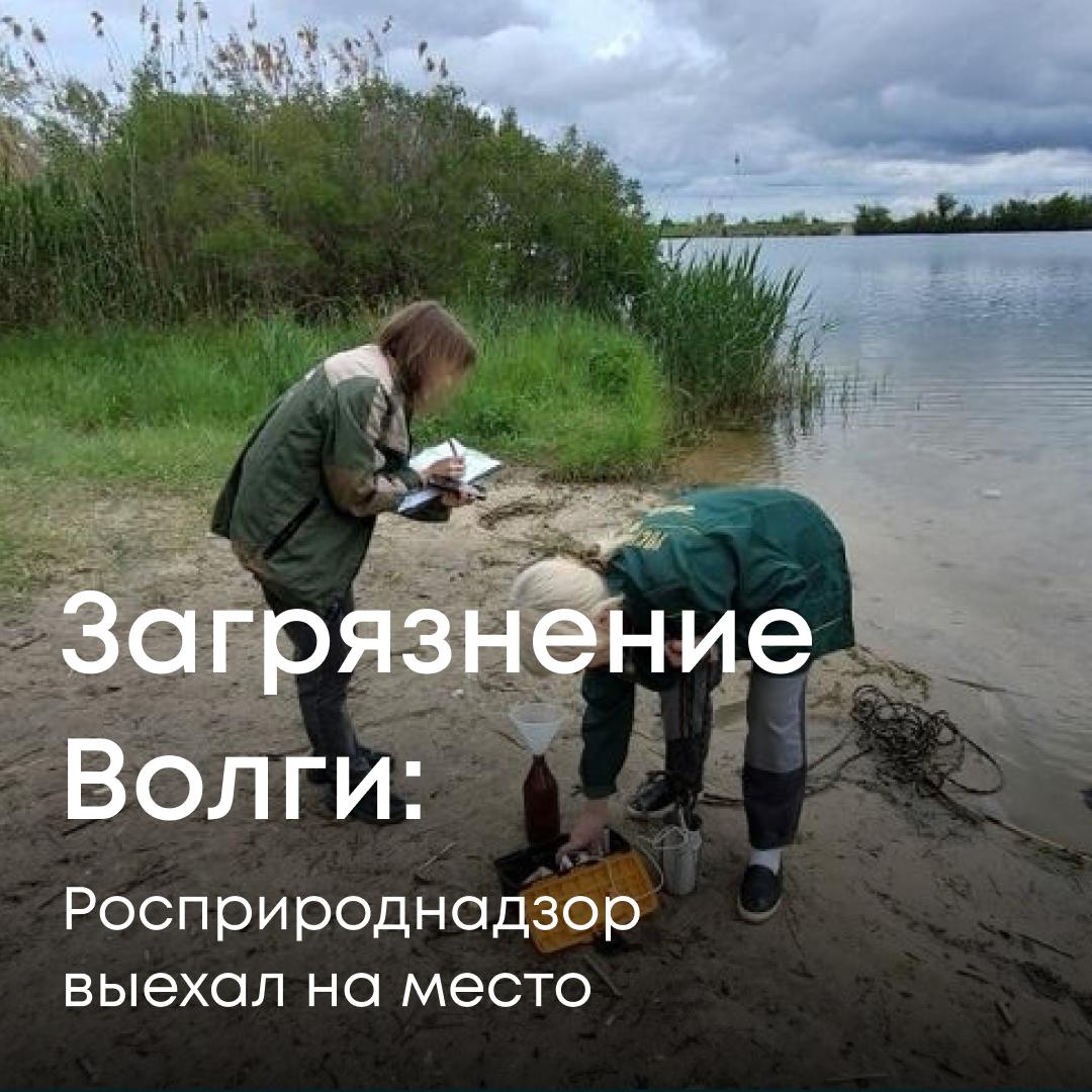 В адрес Нижне-Волжского межрегионального управления Росприроднадзора поступило сообщение о загрязнении нефтепродуктами акватории реки Волга и Волго-Донского канала в границах 3–4 шлюзов Светлоярского района Волгоградской области. Сотрудники управления оперативно выехали на место совместно со специалистами ЦЛАТИ по Волгоградской области. Проведён отбор проб воды для лабораторных исследований на наличие загрязняющих веществ. После получения результатов анализов и выяснения всех обстоятельств будет принято процессуальное решение. Ситуация находится на контроле Росприроднадзора.
