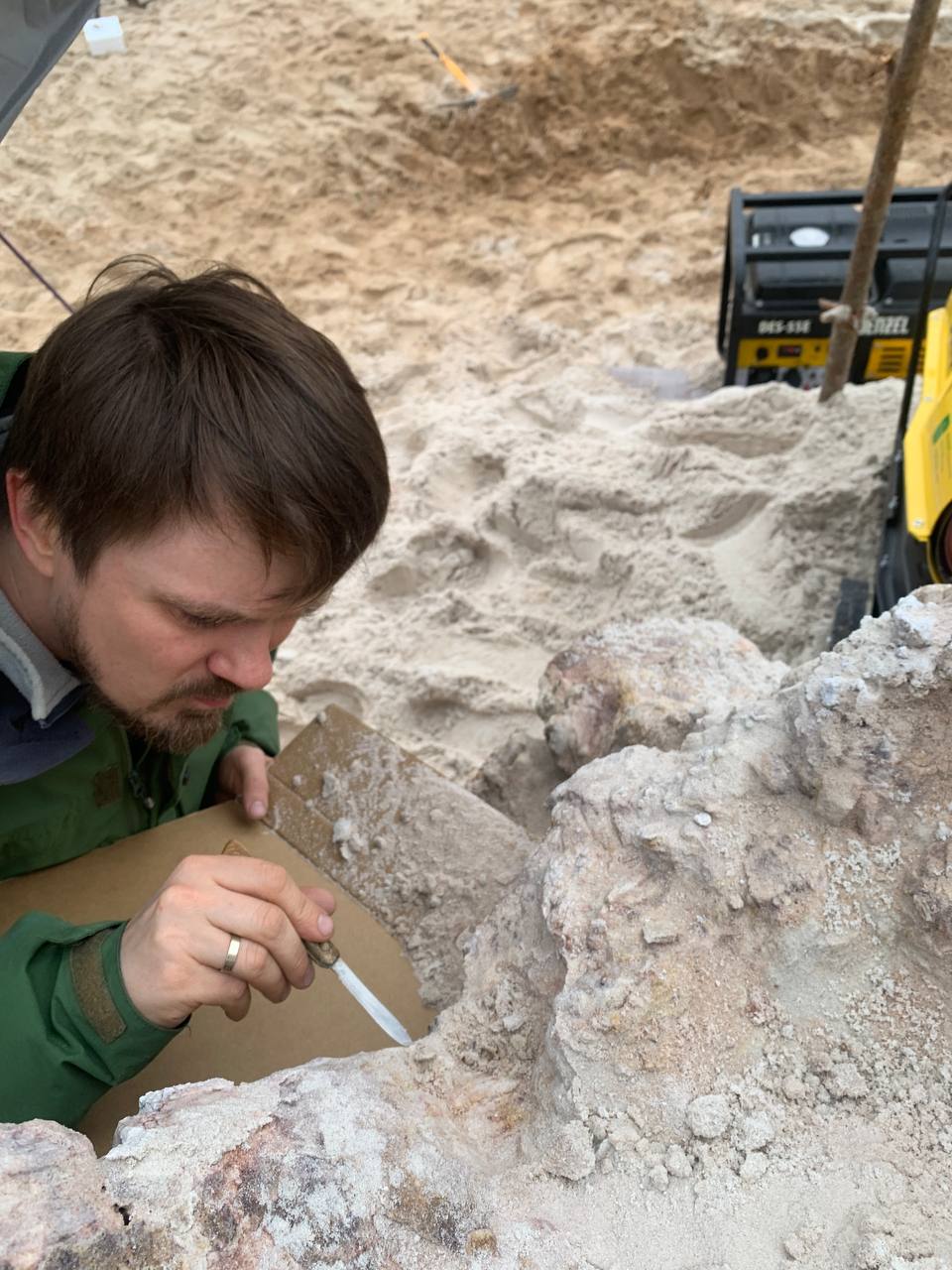 В Ленинградской области совершена уникальная палеонтологическая находка В песчаном карьере под Лугой исследователи обнаружили окаменевший пень возрастом около 385 миллионов лет Древнейшую находку откопал палеонтолог любитель Денис Гогуев Раскопки велись под руководством специалистов СПбГУ в течение недели Ученые предполагают что окаменелость может принадлежать к неизвестному виду первых деревьев на Земле После полного извлечения пень отправят в университет для детального изучения Флэш Питер подписаться