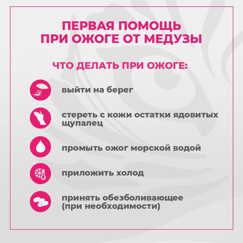 Отдыхающие массово жалуются на последствия укусов медуз За последние сутки около 30 человек обратились за медицинской помощью после купания в море на Шаморе. Причина — массовое нашествие ядовитых крестовых медуз, которые особенно активно размножаются в условиях аномально тёплой температуры. Одна из пострадавших рассказала, что ее компания из шести человек была полностью атакована морскими существами, после которых у всех отдыхающих развилась тяжелая реакция организма: Состояние ужасное — ломит суставы, все тело колет, болит желудок, опухло горло, сопли, тяжело дышать. В больнице нам почти ничем не помогли, кололи только «Ибупрофен». Никакие лекарства не работают. Врачи настоятельно рекомендуют быть осторожными, избегать купания в непроверенных местах и использовать защитные средства. Что делать при ожоге: -Немедленно промыть рану морской водой -Принять антигистаминные препараты -При сильной реакции — срочно к врачу