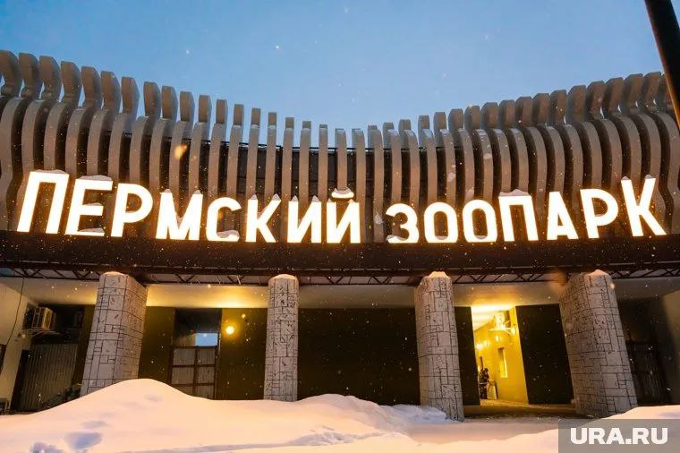 «Пермский зоопарк» потратит 600 тысяч рублей на торжественное открытие «Пермский зоопарк» объявил закупку на проведение торжественного открытия новой площадки. Учреждение выделило 600 тысяч рублей на услуги по администрированию мероприятий, связанных с открытием. «ГКАУК „Пермский зоопарк“ объявило закупку на оказание услуг по администрированию мероприятий в рамках проведения торжественного открытия зоопарка. Начальная цена контракта составила 600 тысяч рублей», — передает «Коммерсант-Прикамье». Отмечается, что зоопарк также планирует приобрести светодиодный экран для входной группы учреждения за 2,88 млн рублей. Также он потратит 2,5 млн рублей на покупку нового животного для пополнения коллекции. Источник ЧП Пермь Прислать новость
