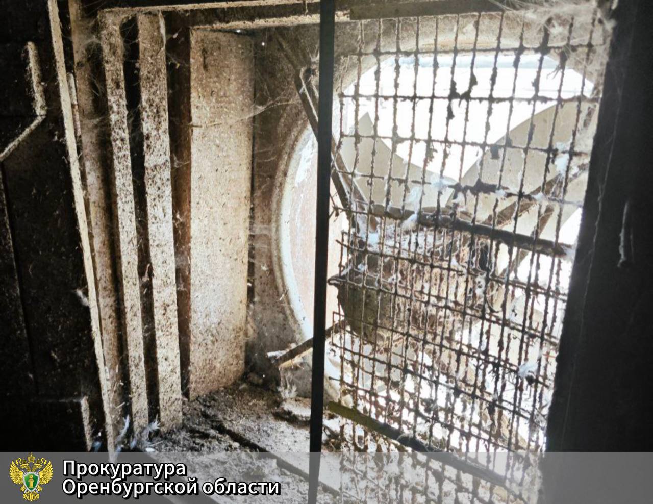 Умер от удара током суд Илекского района оштрафовал предпринимателя за смерть ребенка Директор сельскохозяйственного общества купил нежилое помещение для работы Трагедия случилась в июне 2024 года 12 летний житель села Нижнеозерное попал в помещение где прислонился плечом к промышленному вентилятору Оказалось что устройство было под напряжением 220 вольт От удара электрическим током подросток скончался на месте Суд признал предпринимателя виновным в причинении смерти по неосторожности Предприниматель вину свою признал и в содеянном раскаялся Судья оштрафовал его на 100 тысяч