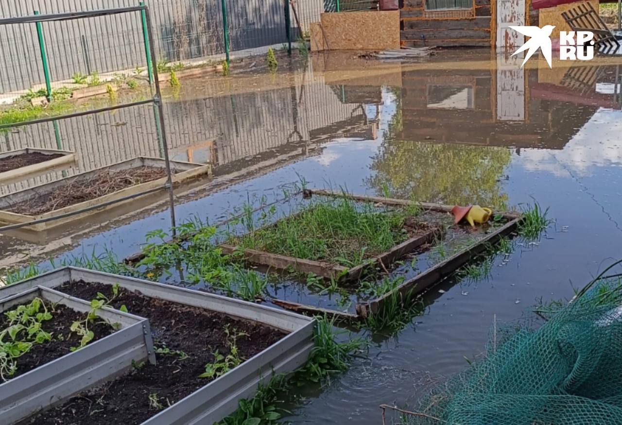 На Первомайке из-за прорыва трубы затопило улицу и дворы Этим утром вода хлынула из колодца у дома №32/2 на улице Героев Революции и потекла по улице Шмидта. Потоки затопили огороды и подвалы частных домов. В одном из дворов из-за сильного напора воды утонули несколько куриц. Остальные птицы успели забраться повыше и выжили. На месте работают аварийные бригады МУП «Горводоканал». Подачу холодной воды в районе временно отключили. Коммунальщики уже приступили к ремонту. Жители рассказали, что недавно здесь сменили асфальт и поставили новую трубу, но она не выдержала и снова произошла авария. Любить Новосибирск