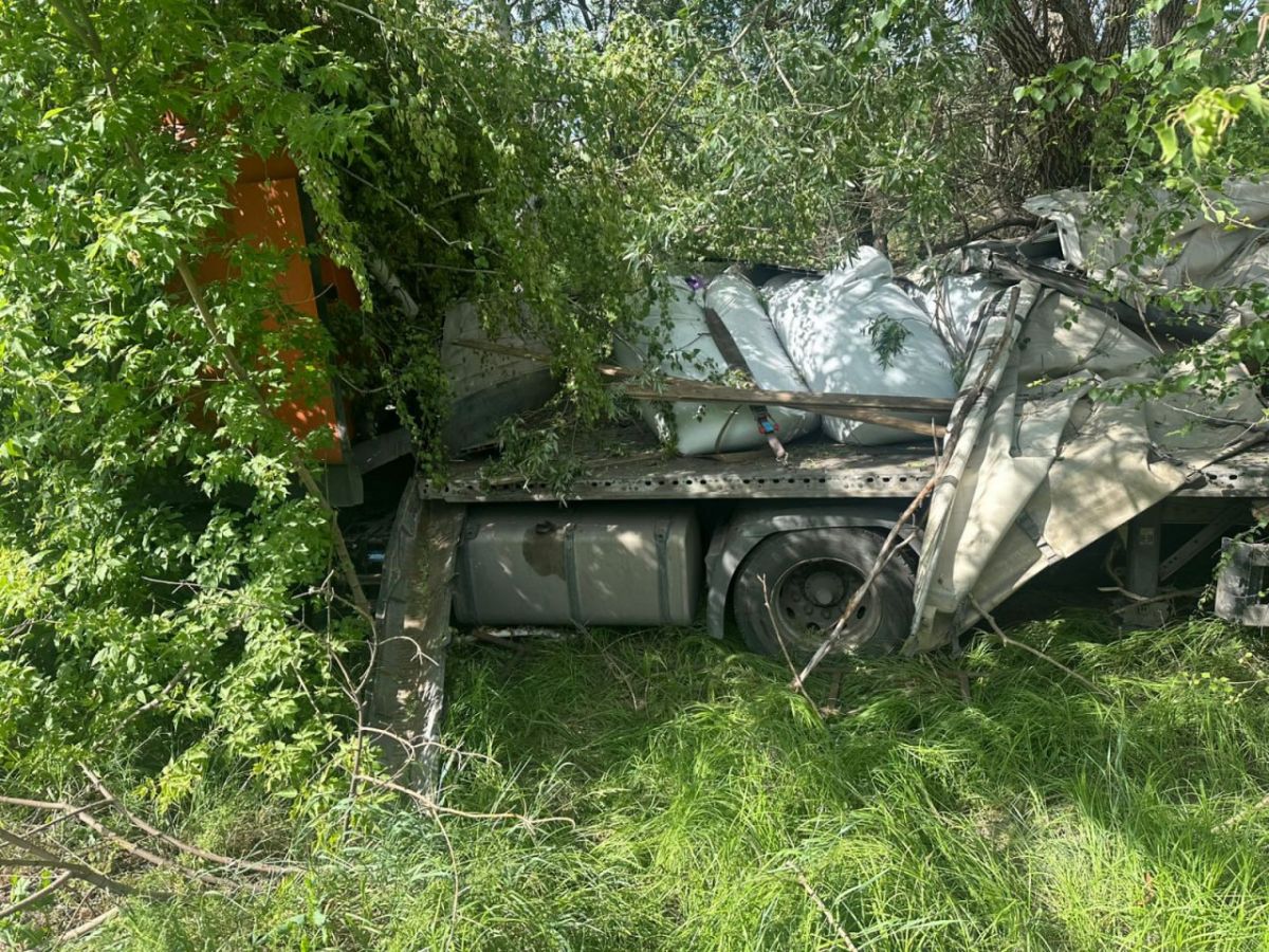 В смертельном ДТП в Воронежской области погиб водитель фуры По данным правоохранителей трагедия произошла на 227 километре трассы «Белгород - М-4 «Дон» примерно в 14:00. За рулем фуры находился 56-летний житель Ростовской области. Он, не рассчитав скорость, вылетел на обочину, где большегруз протаранил дерево. В результате аварии водитель скончался от полученных травм до приезда медиков. ↗ Прислать новость Подписаться