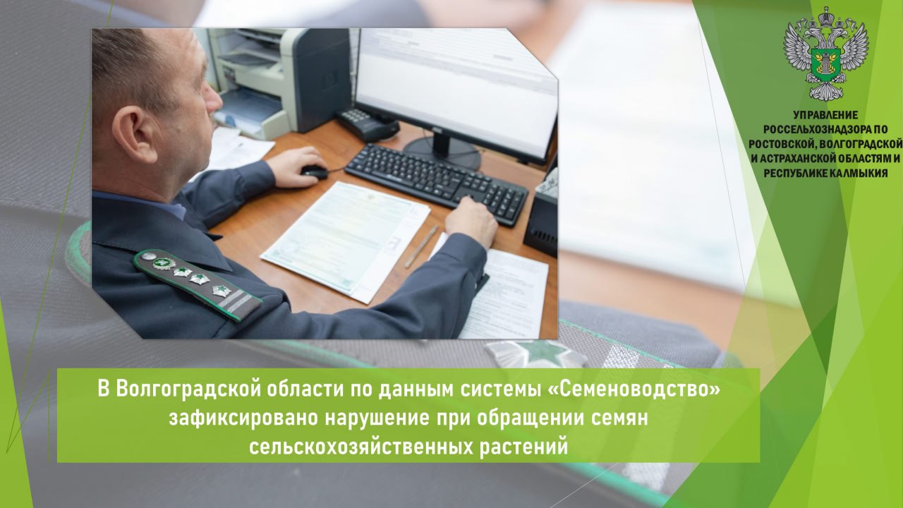 Управлением Россельхознадзора в рамках мониторинга данных ФГИС «Семеноводство» установлено нарушение в области семеноводства, допущенное предприятием Иловлинского района Волгоградской области. По данным системы установлено, что юридическим лицом произведено списание более 7 т семенного материала чечевица «Донская краснозерная» без документов о показателях сортовых и посевных посадочных качеств семян сельскохозяйственных растений. Управление Россельхознадзора разъясняет, что согласно Федеральному закону № 454-ФЗ «О семеноводстве», семена допускаются к обороту на территории РФ только при наличии документов о показателях сортовых и посевных посадочных качеств семян сельскохозяйственных растений. По данному факту предприятию вынесено предостережение о недопустимости нарушения обязательных требований. Предложено принять меры по обеспечению соблюдения обязательных требований в области карантина растений. Открыть полный текст #Карантин_растений #Семенной_контроль #Электронные_системы