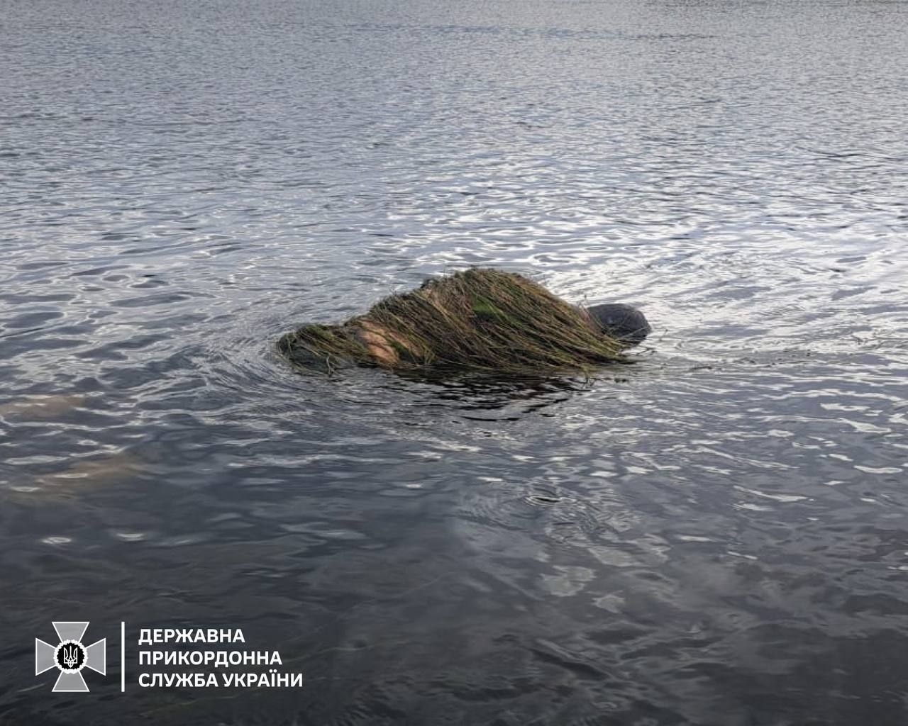 Пограничники нашли в Днестре обвитое водорослями тело мужчины  Тело заметили во время патрулирования. Как сообщили в ГПСУ, установлено, что погибший - житель Днепропетровской области 1971 года рождения.   Вероятно, он пытался переплыть реку, чтобы незаконно пересечь границу с Молдовой, но не смог этого сделать из-за сильного течения и обилия водорослей.   Подписаться   PoliTube_news