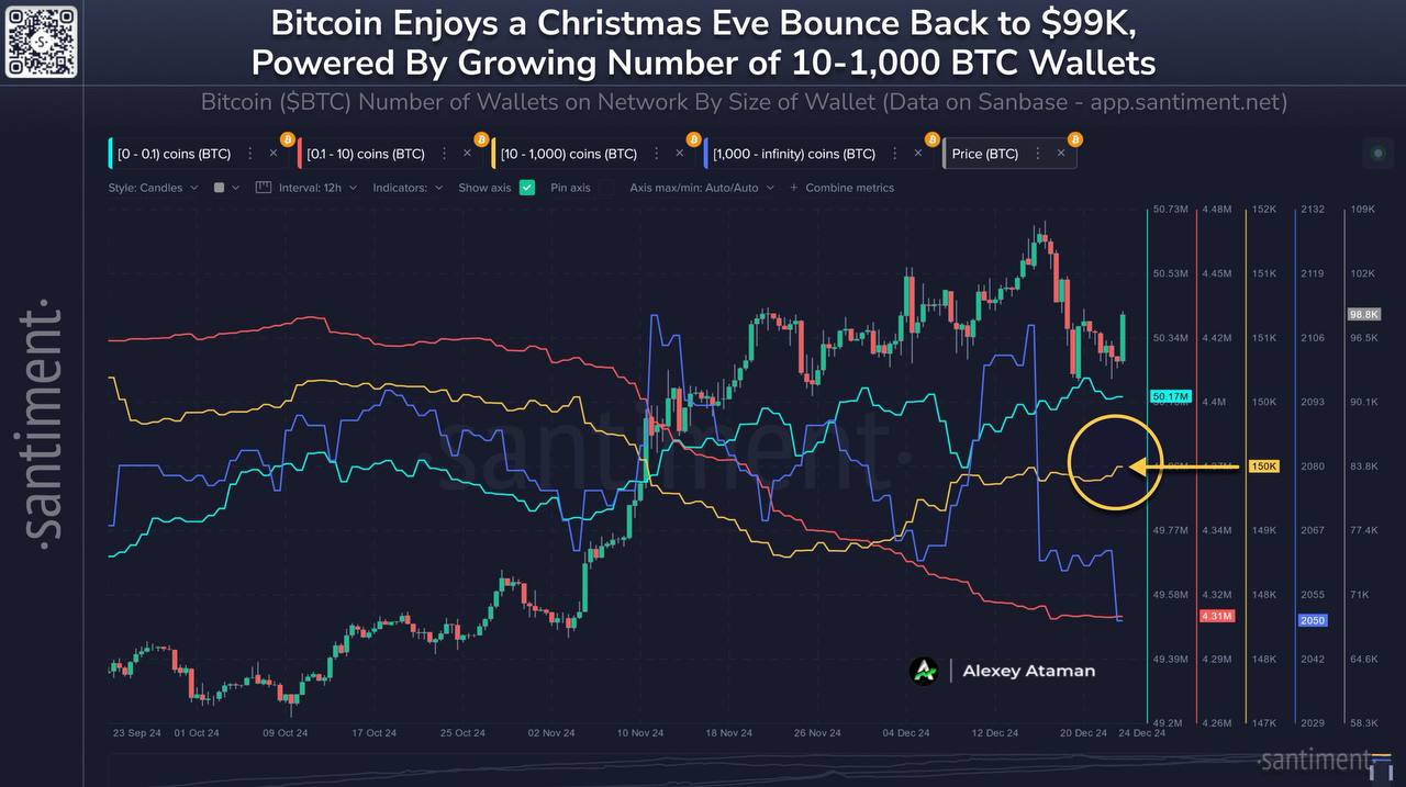 Santiment: BTC и альта хорошо восстановились перед Рождеством  Вот количество кошельков BTC по размеру:    0-0,1 BTC: 50.17 млн   0.1-10 BTC: 4.31 млн   10-1,000 BTC: 150,13 тыс   1,000+ BTC: 2,050  Особенно в последних двух группах, бычий рынок имеет высокую вероятность продолжения, пока они растут в количестве и остаются последовательными в их накоплении, как это было до 2024 года.    Ataman     OKX     Чат