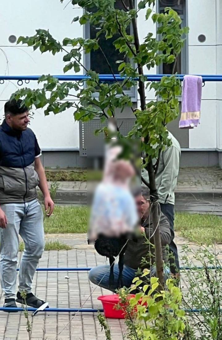 Мужчины разделали барана на детской площадке в Троицке — тушу повесили прямо на турник.