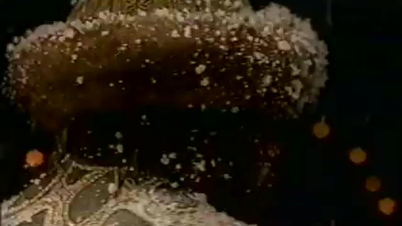 Минфин РФ предлагает ввести технологический сбор на промтовары с 2026 года