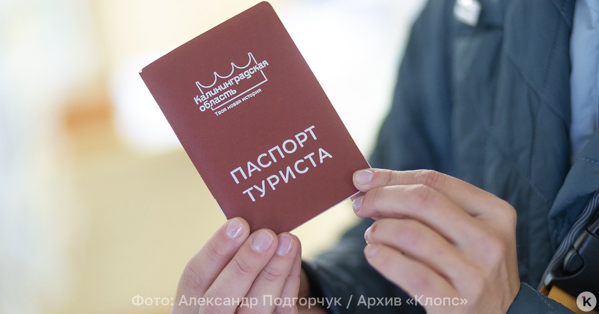 В Калининградской области туристов больше чем регион способен принять Ермак В Калининградской области власти столкнулись с овертуризмом когда наплыв желающих посетить регион превысил местные мощности Об этом в воскресенье 23 ноября сообщает пресс служба регионального правительства со ссылкой на министра по культуре и туризму Андрея Ермака По данным ведомства в 2025 году зафиксирован рост туристического потока на 9 до 2 4 млн путешественников В 2024 году в Калининградскую область приехало 2 2 млн человек Подробнее в нашем материале