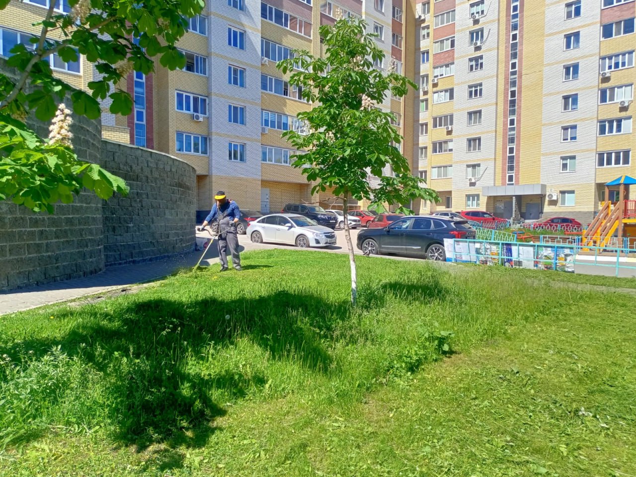 В Заволжском районе продолжается покос травы По поручению главы города Александра Болдакина квартальные уполномоченные отрабатывают с управляющими организациями и владельцами коммерческих объектов необходимость покоса придомовых территорий и участков, прилегающих к частным предприятиям, учреждениям и организациям Сегодня силами Городского центра благоустройства и озеленения организован покос на улицах Шофёров, Краснопролетарской, Жуковского, проспекте Сурова и на проезде Заводском. Покос травы вдоль обочин дорог на проспекте Антонова и проезде Максимова организован силами МБУ «Дорремстрой». Делимся с вами фото