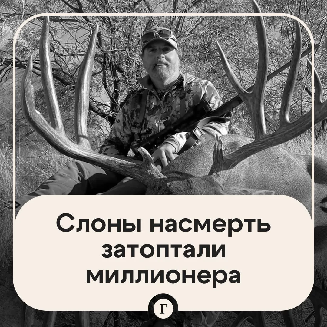 Слонихи убили американского миллионера на охоте в Африке 75 летний бизнесмен Эрни Дозио приехал в Габон чтобы поохотиться на желтоспинного дукера Владелец виноградников в Калифорнии заплатил свыше 3 млн руб за лицензию на отстрел антилопы В Габоне он нанял профессионального охотника и вместе они отправились в густые тропические леса на сафари где неожиданно столкнулись со стадом из пяти слоних с детенышем Почувствовав угрозу самки атаковали людей Дозио они растоптали насмерть его товарища серьезно ранили Сейчас посольство США в Габоне занимается вопросом репатриации тела миллионера в Калифорнию Читайте Газету Ru в MAX
