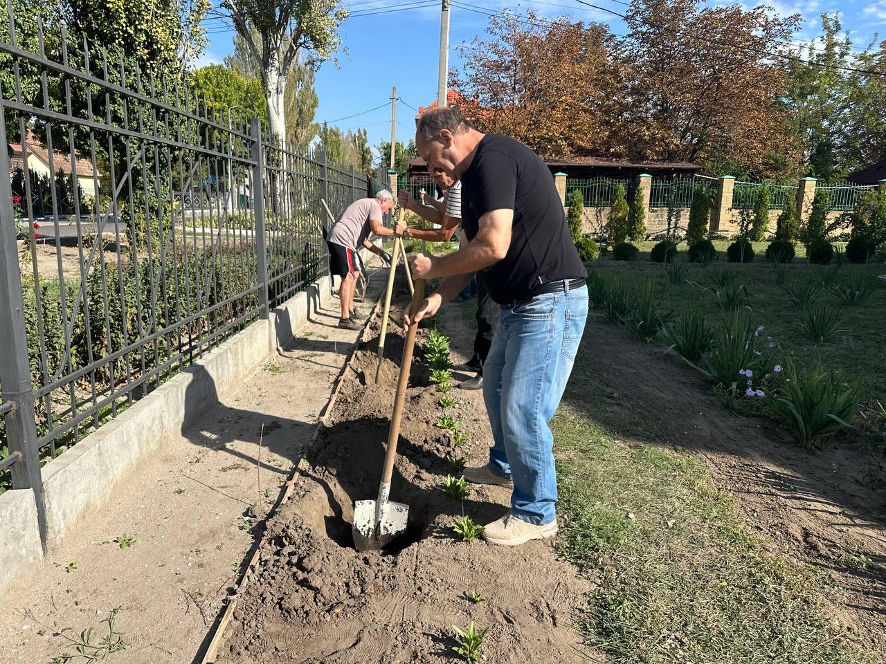 ГАУ "Природный парк "Джарылгач" украсил Скадовск к юбилею города   В преддверии 130-летия города Скадовск, сотрудники ГАУ Природный парк "Джарылгач" приняли активное участие в озеленении территории историко-краеведческого музея, высадив 10 саженцев Туи Смарагд.  Это событие стало не только символом заботы о природе, но и важным вкладом в украшение города к юбилейной дате. Туи Смарагд – это вечнозеленые хвойные деревья, которые отлично подходят для озеленения городских пространств. Их пышная крона и насыщенный зеленый цвет создают уютную атмосферу и придают территории особый шарм.  Высадка саженцев прошла в дружественной атмосфере, в ней приняли участие не только сотрудники природного парка, но и неравнодушные жители Скадовска.    «Мы уверенны, что наши саженцы будут расти дальше на новом значимом месте и  радовать посетителей историко - краеведческого музея»,   - отметил сотрудник ГАУ ХО "Природный парк «Джарылгач» Дорофеев Виктор.