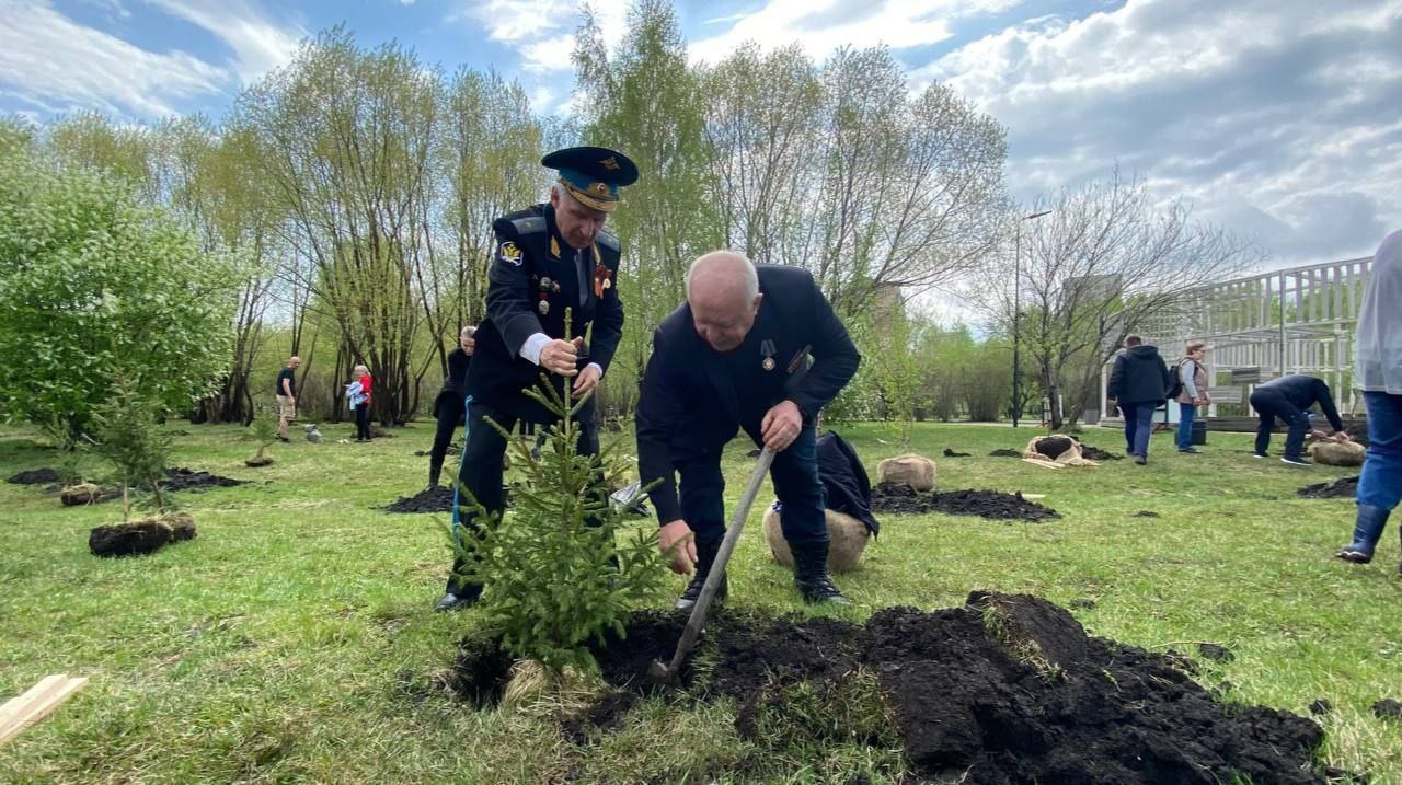 Аллею Памяти заложили в Красноярске Она посвящена 80-й годовщине Победы, героям Великой Отечественной войны и бойцам специальной военной операции По инициативе координационного Молодёжного совета правоохранительных органов и высших учебных заведений Красноярского края на территории озеро-парка Октябрьский высадили ели и яблони. Фото: Красгорпарк