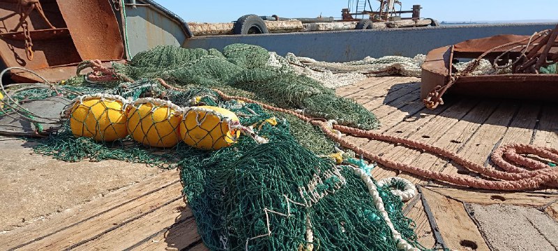 В Азовском море больше нельзя ловить судака и тарань. Эти виды рыб могут попросту исчезнуть.     О закрытии промысла сообщили «Ведомости Юг» со ссылкой на Азовский НИИ рыбного хозяйства  АзНИИРХ .     Учёные рассказали, что популяции рыб сильно пострадали из-за повышения солёности моря и сокращения объёма пресноводного стока рек. Эти явления стали частью глобальных климатических изменений.     Под угрозой вымирания, писал 1rnd, в Азовском море оказался ещё один вид рыб - бычки. Они практически перестали размножаться из-за повышения солёности воды.      Предложи нам новость