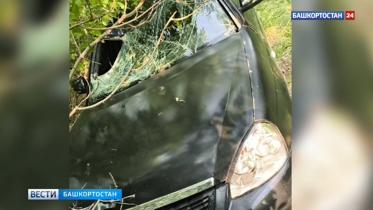 В СК возбудили уголовное дело после гибели в ДТП 16-летней школьницы в Башкортостане Следователи возбудили уголовное дело по факту ДТП в Абзелиловском районе Башкортостана, в результате которого погибла несовершеннолетняя. Об этом рассказали в пресс-службе СУ СК России по РБ. Напомним, 7 июня днем в селе Красная Башкирия произошла жуткая смертельная авария. Водитель автомобиля «Лада Приора», двигаясь по улице Октябрьской, сбил 16-летнюю школьницу на электросамокате и скрылся с места происшествия. В результате полученных травм она скончалась в реанимации больницы Магнитогорска. Личность и местонахождение водителя установлены. Проводятся следственные действия для установления обстоятельств и сбора доказательств. Расследование под контролем руководства СК. Подписаться Сообщить новости