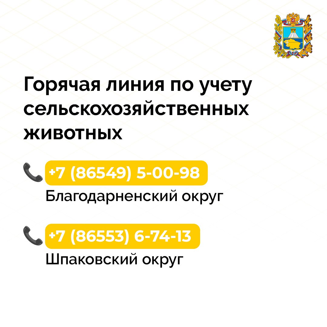 На Ставрополье заработала горячая линия для учёта сельскохозяйственных животных В рамках проекта «Эффективный регион» ветеринарная служба Ставропольского края запустила новый проект — «Учет сельскохозяйственных животных». Пилотная версия уже стартовала в Благодарненском и Шпаковском округах! Проект направлен на упрощение и ускорение регистрации животных, делая этот процесс более удобным для владельцев. Горячая линия — главное нововведение, которое позволит: — быстро подать заявление на регистрацию — получить консультации по уходу — узнать о профилактических мерах против заболеваний Цель инициативы — усилить контроль за здоровьем скота, снизить риск эпизоотий и защитить права владельцев