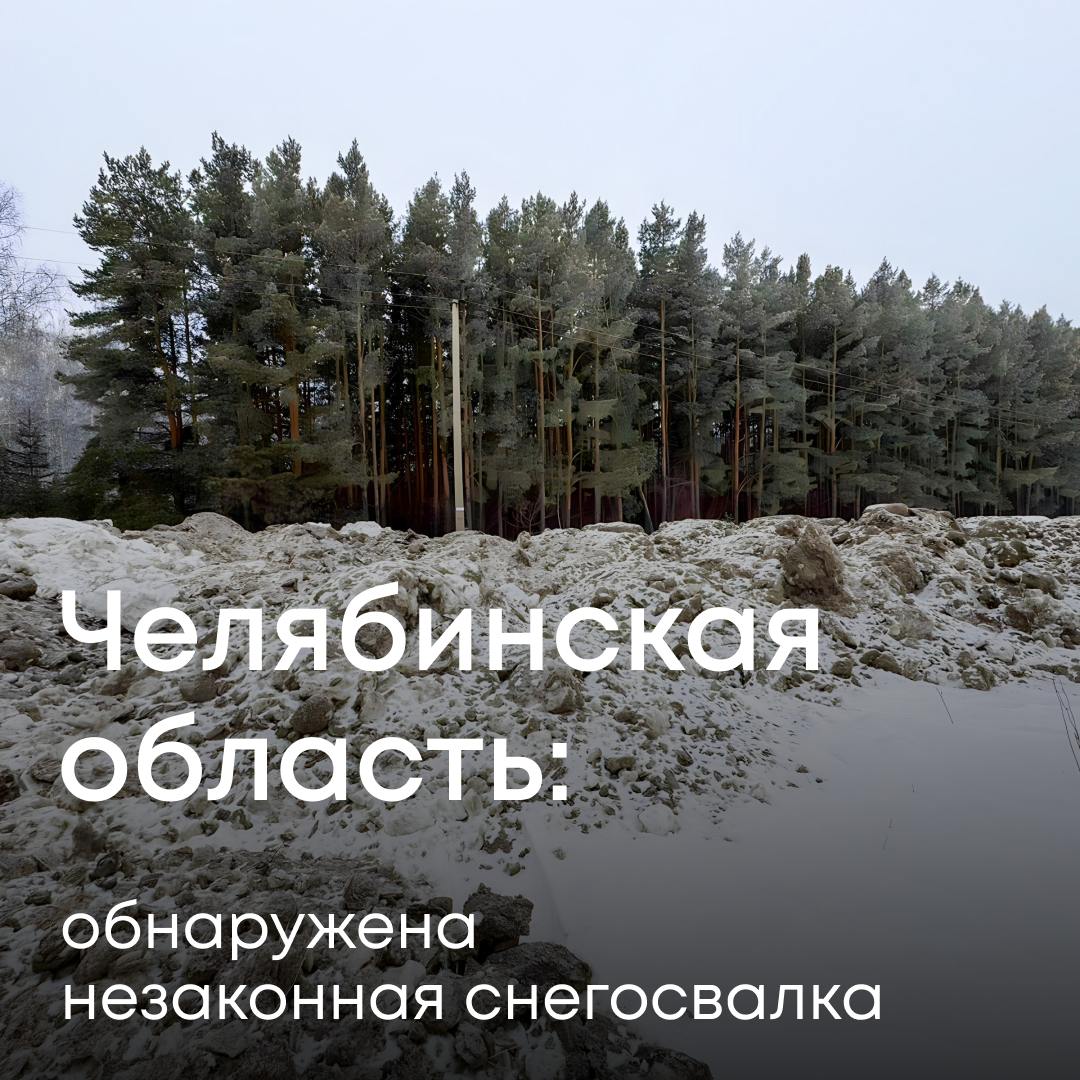 Наши инспекторы выявили нарушения при складировании снега с городских улиц в Аргаяшском районе Челябинской области. Муниципалитету выдано предостережение.  Снег с городских улиц, как правило, содержит опасные вещества и при таянии может нанести серьезный вред окружающей среде. Именно поэтому его размещение должно производиться только на специально оборудованных площадках.  Ситуация находится на контроле Службы.