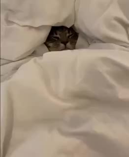 Дистанционное обучение в школах Мурманской области из-за морозов