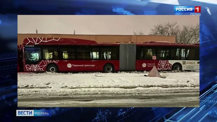 Автобусы-гармошки возвращаются    В Пермь возвращаются автобусы-гармошки. Первый автобус "Volgabus-6271" из намеченной поставки в 35 единиц заметили на улицах города. Базовая модель двухсекционного автобуса рассчитана на перевозку до 184 человек, его длина 18,5 метров, Данная модель автобуса будет работать на природном газе. Автобусы большой вместимости будут работать  в Перми по контрактам 2025-2030 гг.