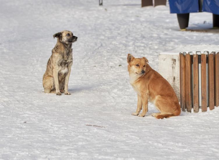 Россиянам рассказали о праве не выходить на работу в непогоду Сотрудники вправе не выходить на работу при чрезвычайных ситуациях уведомив об этом работодателя Об этом РИА Новости рассказал главный технический инспектор труда Федерации независимых профсоюзов России ФНПР Алексей Безюков По его словам такая возможность предусмотрена например при снежных заносах пожарах наводнениях или землетрясениях для работников не участвующих в их ликвидации Необходимо в первую очередь поставить в известность работодателя о сложившейся ситуации подчеркнул Алексей Безюков Наличие опасной или чрезвычайной ситуации можно подтвердить данными метеослужб дорожных организаций или публикациями в СМИ ИА ДОН 24 Отправить новость