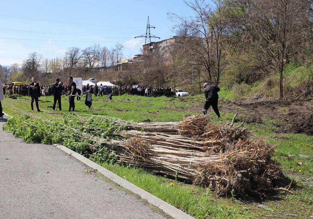 В память об погибших участниках СВО во Владикавказе высадят 200 саженцев дуба красного  29 октября во Владикавказе лесоводы и волонтеры высадят 200 саженцев дуба красного на площади 0,6 га.   Дуб красный – символ мощи, выносливости, долголетия и благородства, а также славы, поэтому оргкомитетом акции «Сохраним лес» в Северной Осетии решено посвятить высадку участникам СВО, отмечают в Минприроды Осетии.  «В этом году Минприроды решило посвятить акцию участникам СВО, не вернувшимся домой. Хотим в память о них разбить дубовую аллею на набережной Владикавказа, в районе Красногвардейского моста. Наши отважные ребята куют Победу на поле сражений, а мы для них — надежный тыл и опора. Пусть завтра эта дубовая аллея напоминает нашим детям о Героях СВО», — отметила координатор акции в Северной Осетии, главный специалист-эксперт отдела лесовосстановления, охраны и защиты лесов Минприроды Осетии Марина Кокоева.