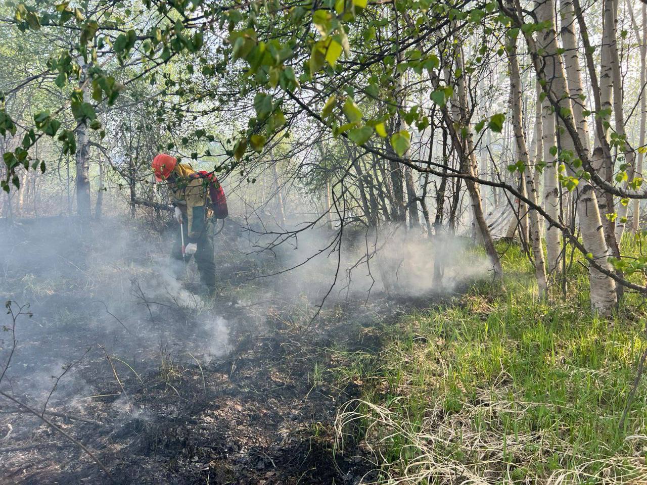 В Мильковском лесничестве оперативно ликвидировали лесной пожар. Огнеборцы тушили пожар на площади 5,37 гектар. К тушению привлекались 18 человек и 3 единицы техники. При обнаружении пожара следует немедленно звонить по номеру — 112.