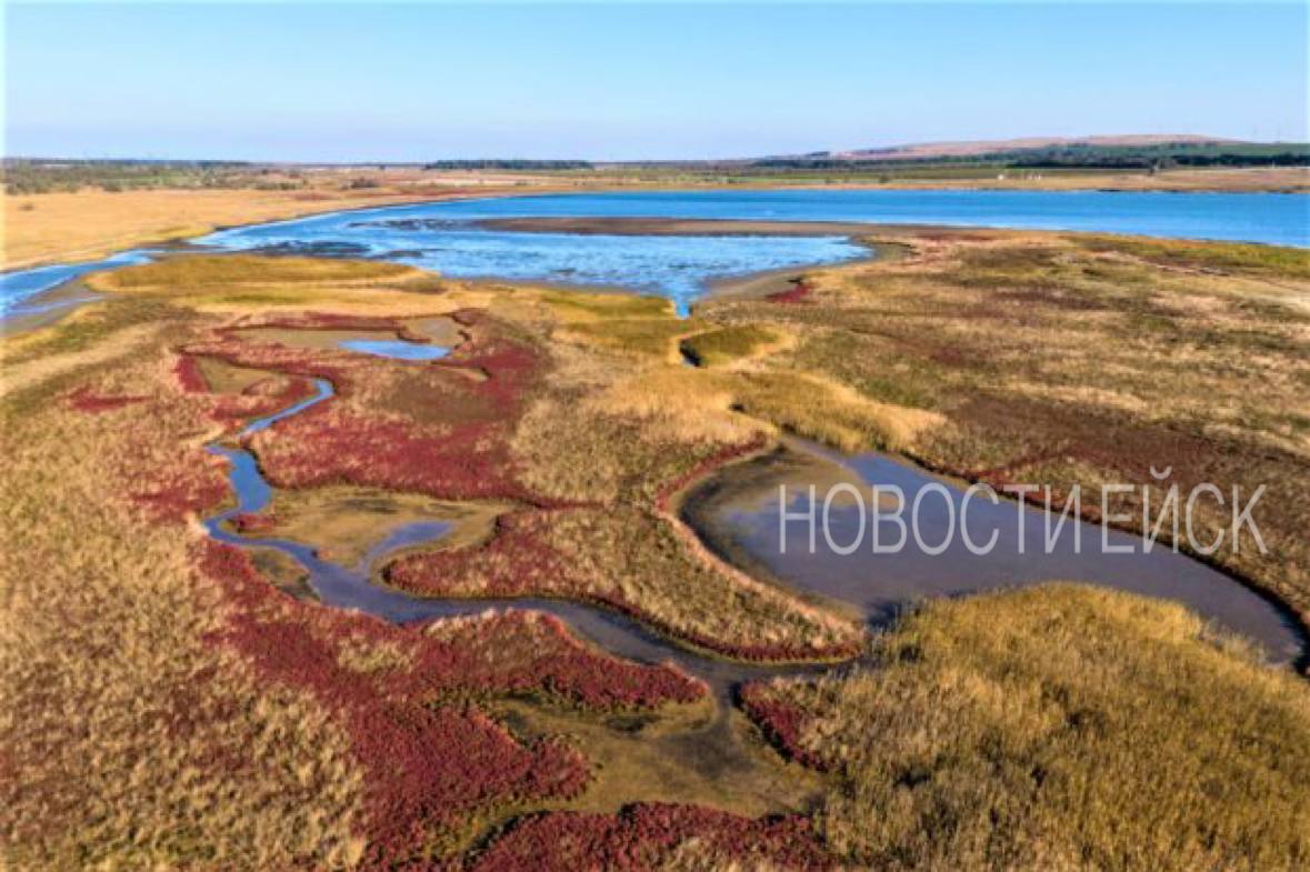 В Краснодарском крае официально появилось 9 новых особо охраняемых природных территорий ООПТ регионального значения общей площадью более 2370 гектаров Об этом сегодня сообщил губернатор Вениамин Кондратьев Новые заповедные участки расположены в Анапе Абинском Кущевском Щербиновском районах и Туапсинском муниципальном округе Среди них памятники природы Урочище Алексеевское Новомихайловское Шевченко Картушина балка Шкуринские балки реки Ея Николаевские поды а также Гора Школьная и гора Шизе с хребтом Грузинка Губернатор отметил что расширение сети ООПТ важный шаг в сохранении уникальных экосистем редких видов растений и животных Кубани включая краснокнижные орхидеи и подснежники Работа по расширению охраняемых территорий будет продолжена чтобы обеспечить экологическую устойчивость региона для будущих поколений На сегодняшний день в Краснодарском крае насчитывается 481 особо охраняемая природная территория из них 354 регионального значения Планируется дальнейшее расширение сети с добавлением более 24 тысяч гектаров до конца 2027 года НОВОСТИ В МАХ   max ru novosti yeisk НОВОСТИ В ТГ   t me novosti yeisk НОВОСТИ ВК   vk com club223646917