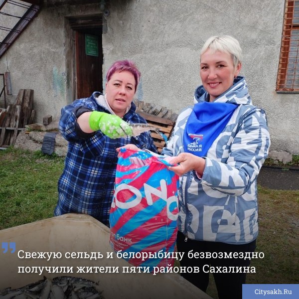 В рамках проекта «Доступная рыба» в пяти районах Сахалинской области прошла традиционная акция «Рыбный дар», в рамках которой жители Долинского, Корсаковского, Поронайского, Смирныховского райнов безвозмездно получили 10 тонн свежей сельди и 600 тонн белорыбицы.