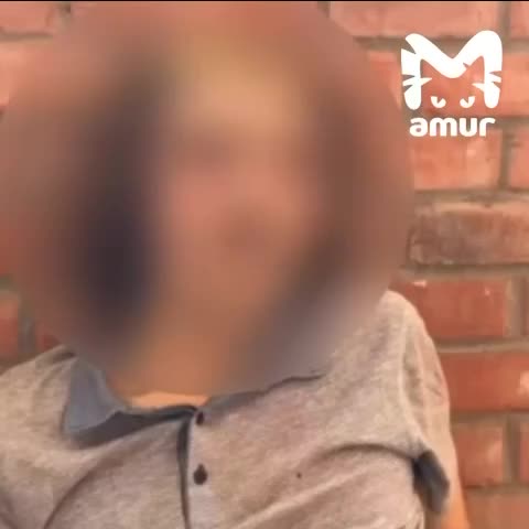 Хабаровчанин пытался ограбить квартиру во Владивостоке по указанию мошенников