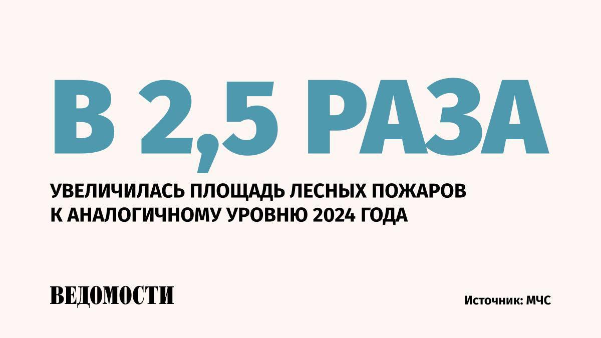 Площади лесных пожаров в России в 2025 году кратно выросли по сравнению с 2024 годом, сообщил на совещании с президентом глава МЧС Александр Куренков. С начала года в стране возникло почти 2,5 тыс. очагов лесных пожаров, это сопоставимо с прошлогодними показателями, но площадь возгораний возросла до 2 млн га, сказал Куренков. Наиболее сложная обстановка – в Забайкальском крае и Бурятии. Подпишитесь на «Ведомости»