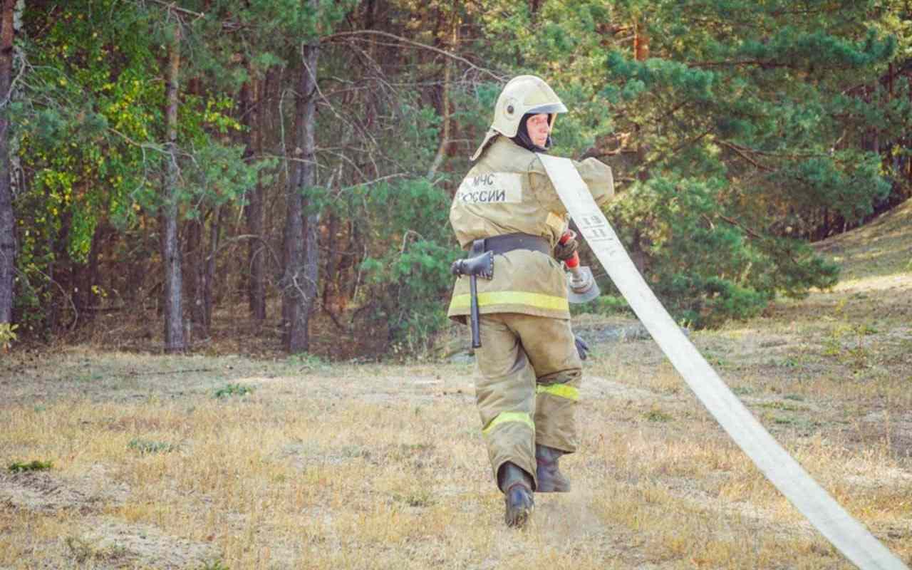 Повышенная вероятность лесных пожаров ожидается весной в Воронежской области. Вероятность лесных пожаров в Воронежской области выросла из-за незначительного количества осадков, которые выпали в регионе осенью прошлого года и этой зимой. А еще прогноз лесной охраны указывает на то, что весной в регионе будет довольно жарко.