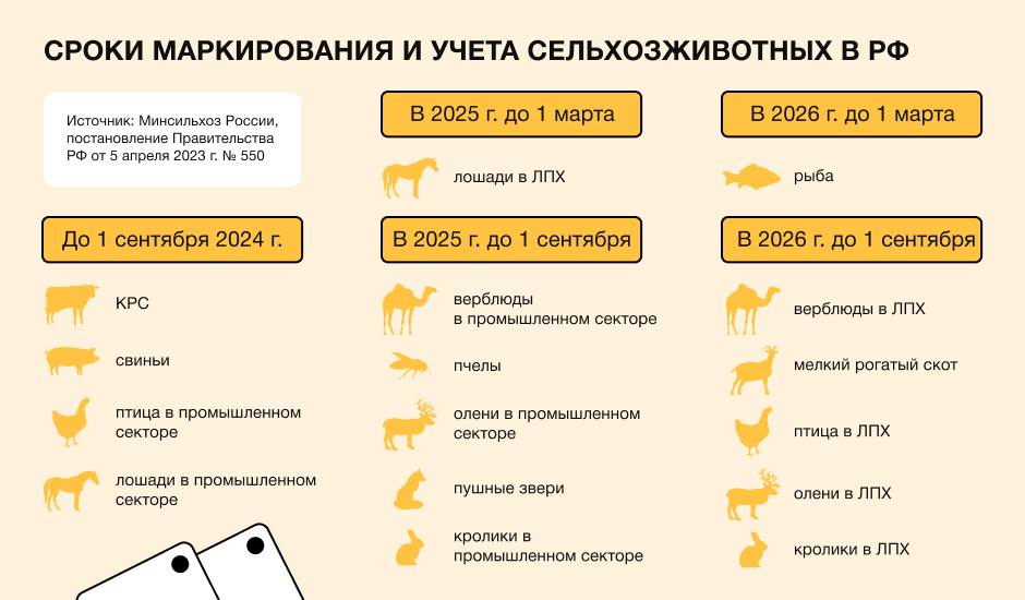 Это не шутка Пасечники Вологодской области обязаны внести свои пчелосемьи в систему Хорриот до 1 сентября 2025 года Это требование введённое в рамках национального проекта Технологическое обеспечение продовольственной безопасности Каждой пчелиной семье будет присвоен уникальный идентификатор Для этого владельцам пасек необходимо обратиться в ветеринарные станции своего района Регистрация осуществляется через систему Хорриот которая является частью платформы ВетИС Россельхознадзора Система Хорриот позволяет следить за жизненным циклом пчёл проводить учёт ветеринарных мероприятий и контролировать перемещение продукции Это помогает снизить вероятность распространения инфекций и предотвращает попадание на рынок незаконной продукции отмечают в региональном Министерстве сельского хозяйства Нарушение требований грозит штрафами до 20 тысяч рублей или временной приостановкой деятельности сроком до 60 суток Закон о маркировке животных вступил в силу в 2023 году а обязательная регистрация пчёл стартовала с марта 2024 года Какие животные подлежат обязательной регистрации крупный рогатый скот лошадь олень осел мул лошак верблюд свинья овца коза птица курица утка индейка гусь перепел страус цесарка пушной зверь кролик лисица соболь норка хорек песец енот нутрия пчелы рыба и объекты аквакультуры Какие животные НЕ входят в перечень обязательной маркировки На сегодняшний день домашние питомцы например кошка или собака НЕ включены в перечень обязательной регистрации животного