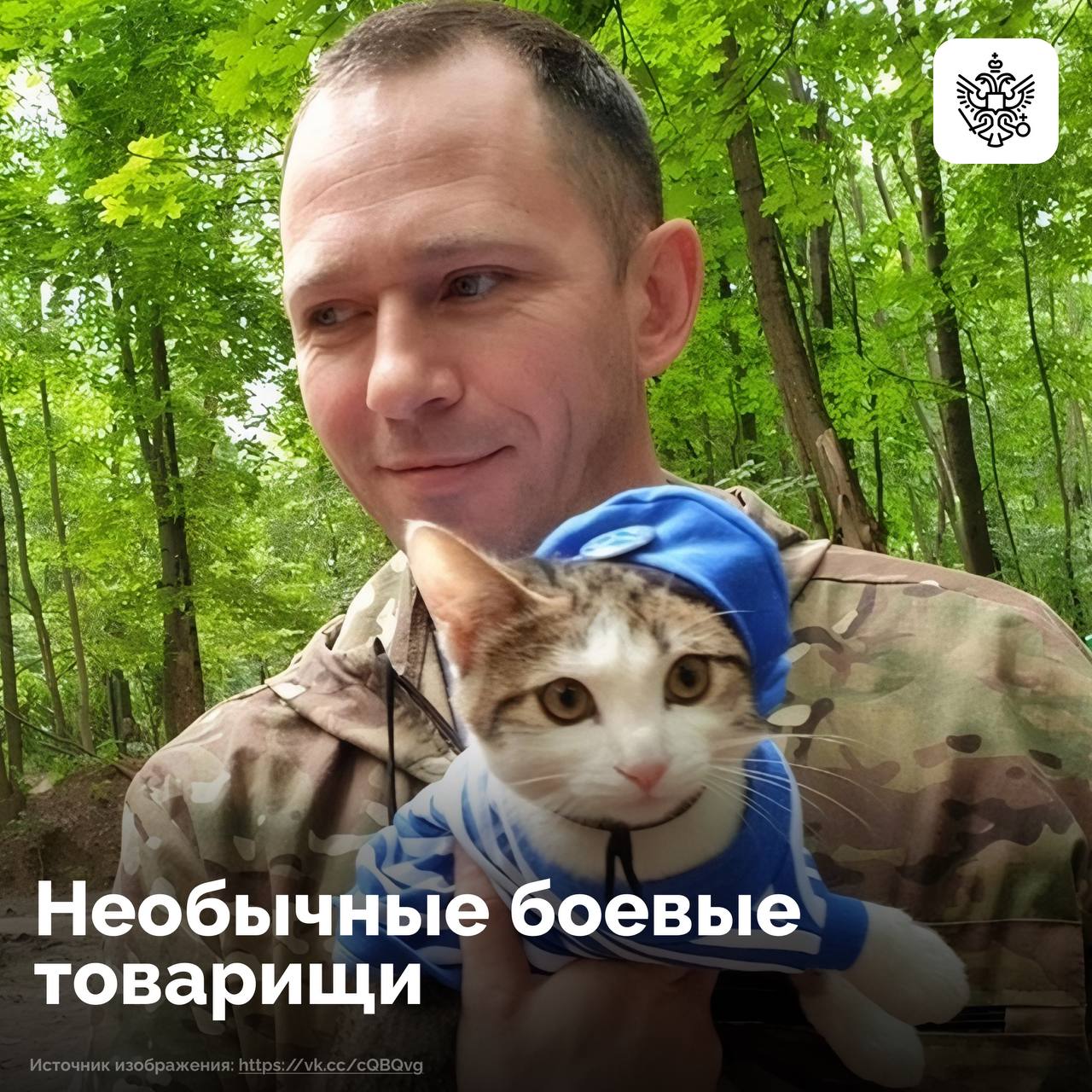 Пушистый спецназ В боевых отрядах в зоне СВО нашли приют десятки животных Они оказывают солдатам не только моральную но и физическую помощь Одним из таких четвероногих стал осел Жорик Там где не проходил даже квадроцикл он неутомимо нес на себе тяжелый груз За время усердной службы Жорик даже поседел и был с почетом отправлен на пенсию в филиал Московского зоопарка Кошка Тимоша и выводок ее котят несут службу охраняя расположение морских пехотинцев от мышей и крыс Эти хвостатые бойцы сражаются с грызунами по всем правилам военной науки работая одной слаженной командой А в подразделении спецназа поселился пес со звучным графским именем Он не только научился ловить крыс не хуже любой кошки но и умеет засекать дроны Военнослужащие рассказывают что примерно за полминуты до появления беспилотника их верный друг начинает скулить Как именно собака чует опасность они не знают но главное это работает