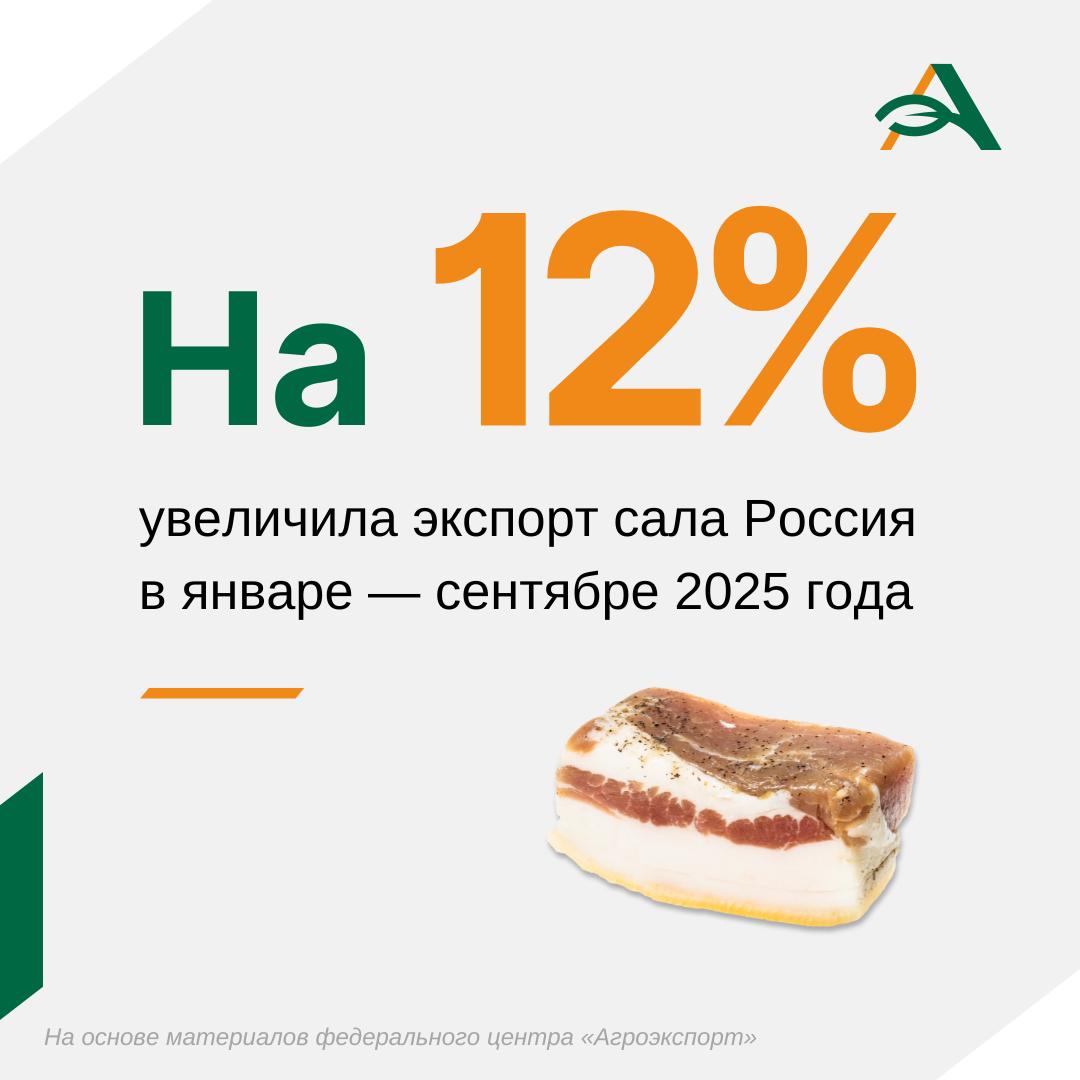 Россия в январе сентябре поставила на зарубежные рынки 13 тыс тонн сала почти на 19 млн долларов По сравнению с аналогичным периодом 2024 года в натуральном выражении экспорт увеличился на 12 в денежном на 38 сообщается в материалах федерального центра Агроэкспорт В пятерке стран импортеров оказались Белоруссия Монголия Армения Казахстан Вьетнам Рекордным считается 2023 год тогда Россия экспортировала продукцию на почти 25 млн долларов agroexpert Наши каналы