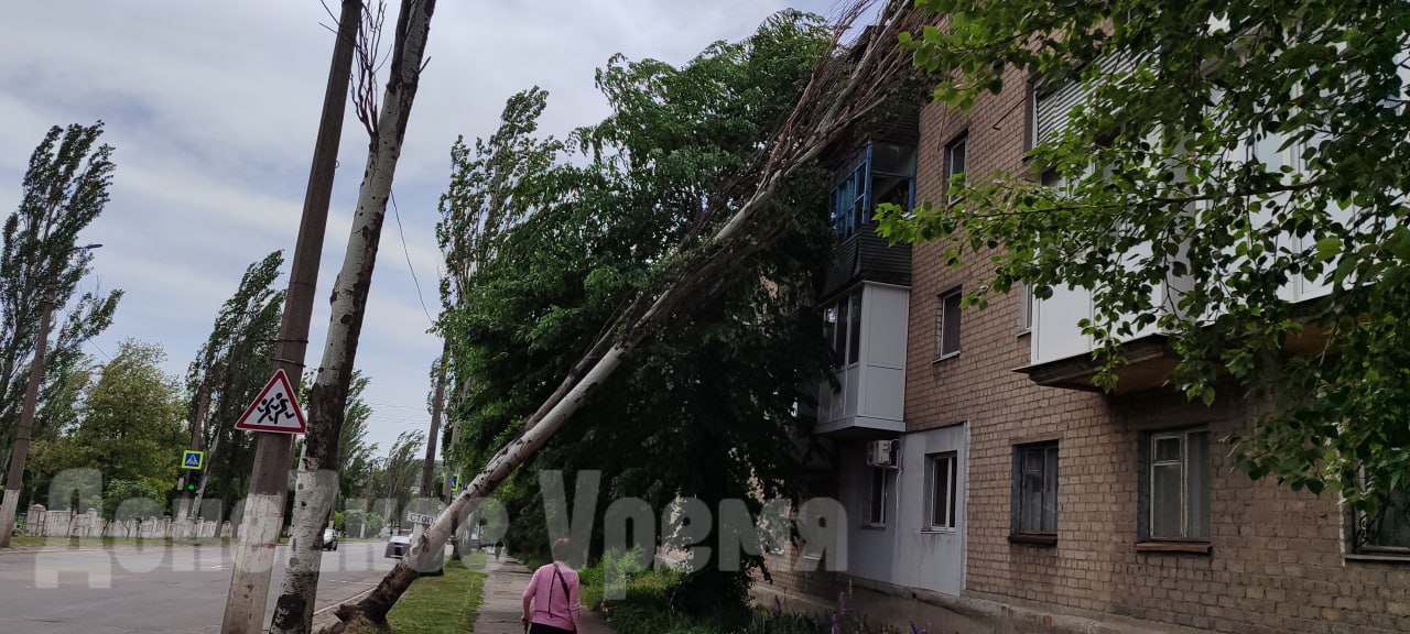 В Ленинском районе Донецка дерево упало на многоэтажку: всему виной ветер В Донецке бушует сильный ветер. По улице Кирова в Ленинском районе с корнем вырвало тополь. Дерево упало на многоэтажку. Ветер срывает шифер с крыш, обрывает ветки с деревьев и в других районах города. Прогнозы МЧС подтвердились. Еще вчера спасатели предупреждали, что порывы ветра будут достигать 16 м/с. Такую же погоду МЧС ДНР прогнозирует и на завтра. Но ветер ожидается еще сильнее — до 20 м/с. Фото: Инна Федорова