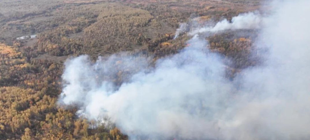 В связи с улучшением обстановки, вызванной лесными пожарами, режим чрезвычайной ситуации  ЧС  был отменен на территории Ростовской области. Об этом заявили представители Федеральной авиационной службы лесной охраны.  Важно отметить, что несмотря на снятие регионального режима ЧС, на территории Ростовской области продолжает действовать особый противопожарный режим. В Милютинском и Шолоховском районах сохраняется режим ЧС муниципального уровня.