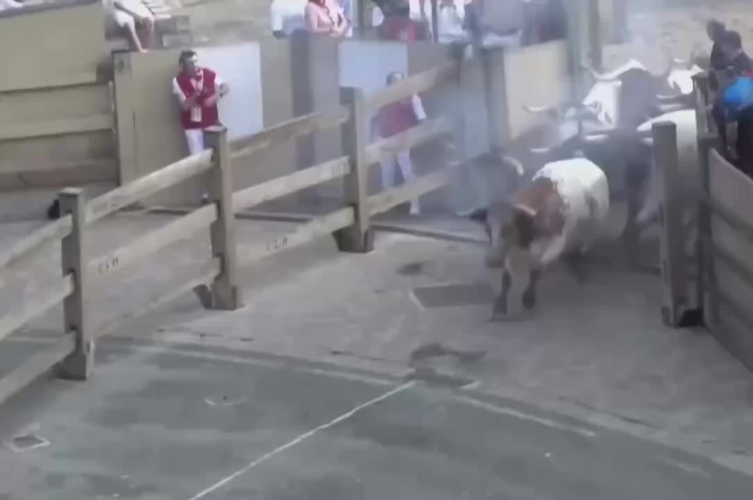 Шесть пострадавших на забеге с быками в Памплоне