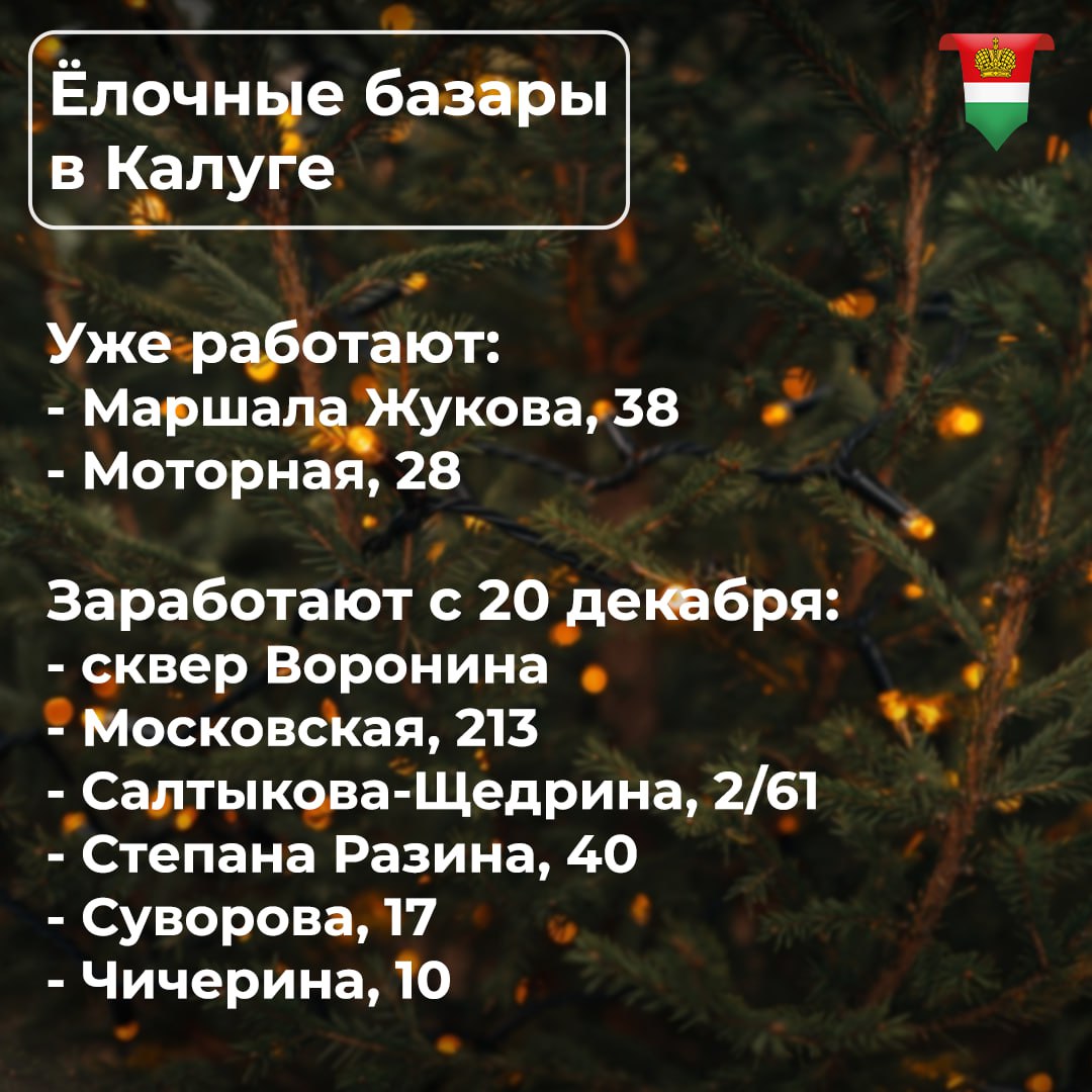 В Калуге заработали ёлочные базары Где можно приобрести живое новогоднее дерево рассказываем в карточке Подписывайтесь на официальный канал Правительства в MAX