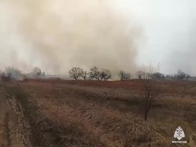 Ландшафтные пожары на островах Хабаровска: дачники нарушили запреты